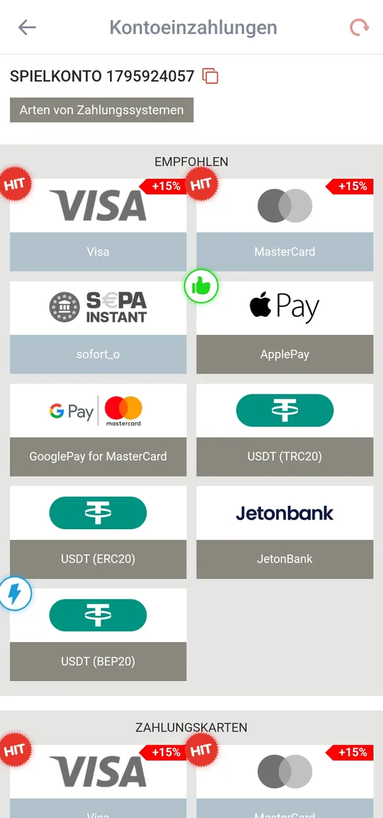 Kasse in der App mit den empfohlenen Zahlungswegen Visa, MasterCard, SEPA Instant und ApplePay